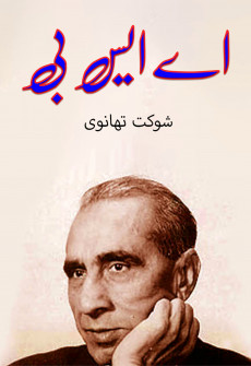 Book cover for A.S.B