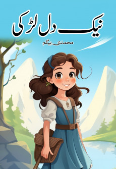 Book cover for Neik Dil Larki