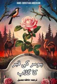 Book cover for Homer Ki Qabar Ka Gulab