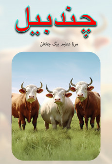 Book cover for Chand Bail