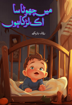Book cover for Mai Chota sa Ik Larka Hun