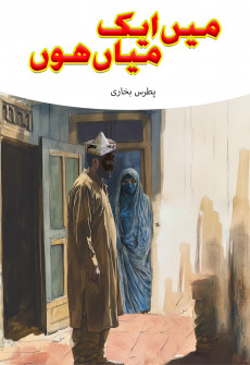 Book cover for Main Aik Miyaa'n Hun