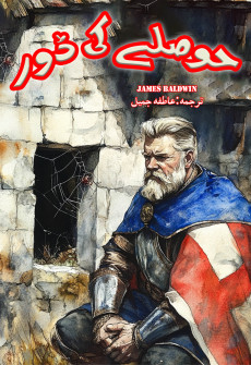 Book cover for Hoslay Ki Door