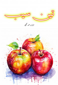 Book cover for Teen Seib