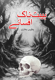 Book cover for Haibatnaak Afsany