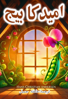 Book cover for Umeed Ka Beej