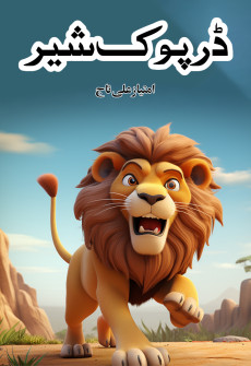 Book cover for Darpook Sher