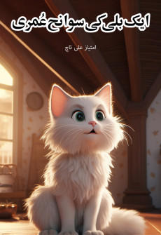 Book cover for Aik Billi ki Sawaneh Umri