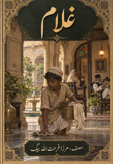 Book cover for Ghulam