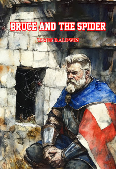 Book cover for Bruce and the Spider