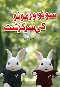 Book cover for Sono Aur Mono Ki Sarguzasht