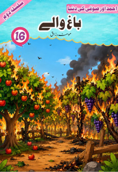 Book cover for Baagh Walay