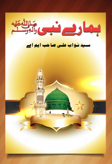 Book cover for Hamary Nabi SAW