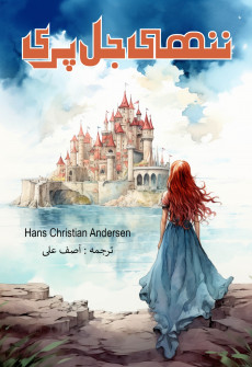 Book cover for Nanhi Jal Pari