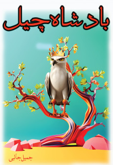 Book cover for Badshah Cheel