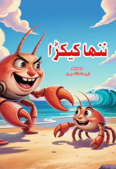 Book cover for Nanha Kekraa