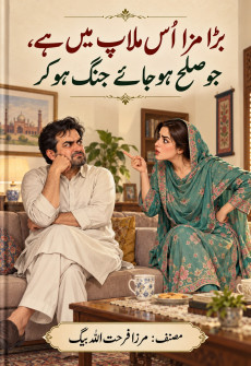 Book cover for Bara Maza Us Milaap Mein Hai Jo Sulah Ho Jaye Jang Ho Kar
