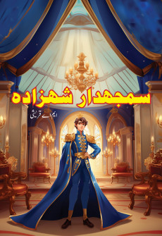 Book cover for Samajhdar Shahzada