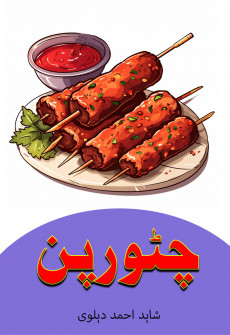 Book cover for Chatoor Pan