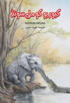 Book cover for Querio Ko Mili Soondh