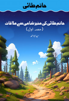 Book cover for Hatim Tai ki Muneer Shami sa Mulaqaat