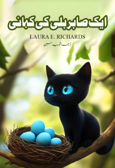 Book cover for Aik Sabir Billi Ki Kahani