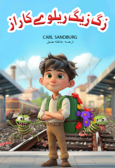 Book cover for Zig Zag Railway Ka Raaz