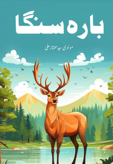 Book cover for Barah Singa