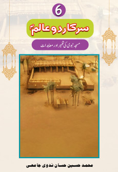 Book cover for Sarkar-e-Do Alam (SAW) Part 6
