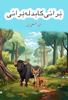 Book cover for Burai ka Badla Burai