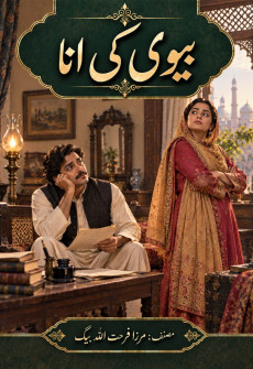 Book cover for Biwi Ki Ana