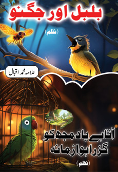 Book cover for Bulbul Aur Jugnu (Nazmain)