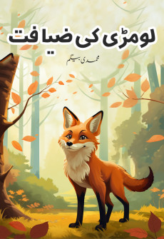 Book cover for Loomri Ki Ziyafat