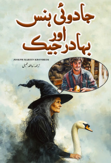 Book cover for Jadui Hans Aur Bahadur Jack