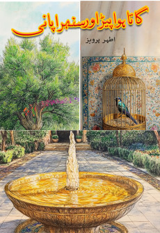 Book cover for Gata Huwa Pairh Aur Sunehra Pani