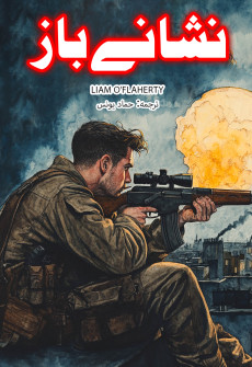 Book cover for Nishanay Baaz