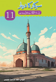 Book cover for Sarkar ka Darbar Part 11