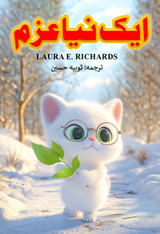 Book cover for Aik Naya Azm