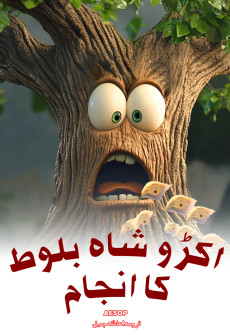 Book cover for Akkru Shah Baloot Ka Anjam