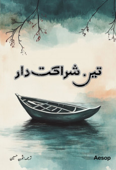 Book cover for Teen Shiraakat Dar