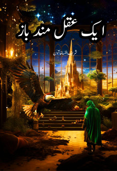 Book cover for Aik Aqalmand Baaz