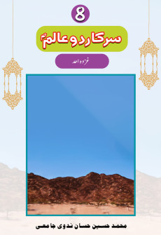 Book cover for Sarkar-e-Do Alam (SAW) Part 8