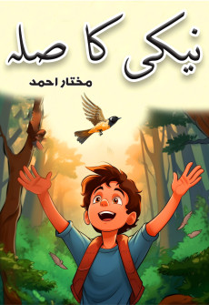 Book cover for Neki ka Sila