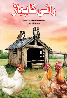 Book cover for Rai Ka Pahaar