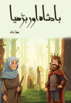 Book cover for Badshah aur Budiya