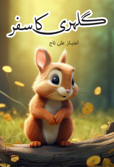 Book cover for Gilahrii ka Safar