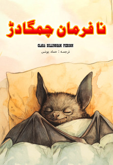 Book cover for Nafarman Chamgadad