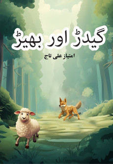 Book cover for Geedar aur Bhair
