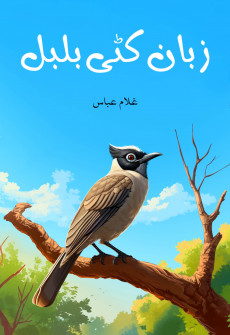 Book cover for Zabaan Kati Bulbul