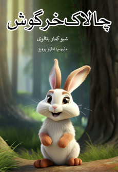 Book cover for Chalak Khargosh